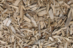 biomass boilers Costock